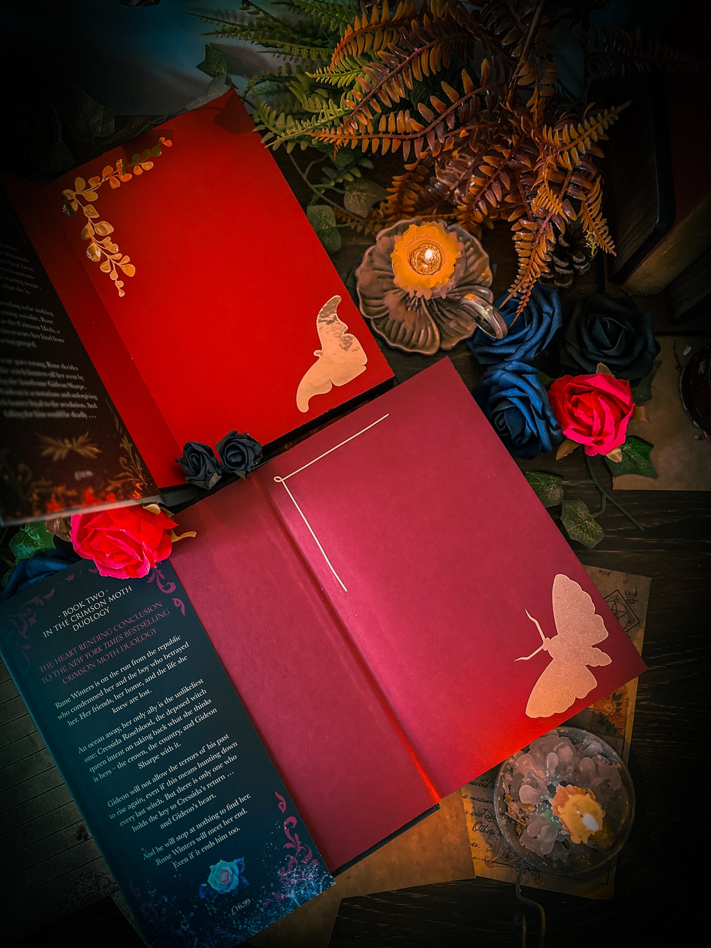 THE REBEL WICTH Hand-Painted Book Edges - Kristen Ciccarelli - Special Edition Book