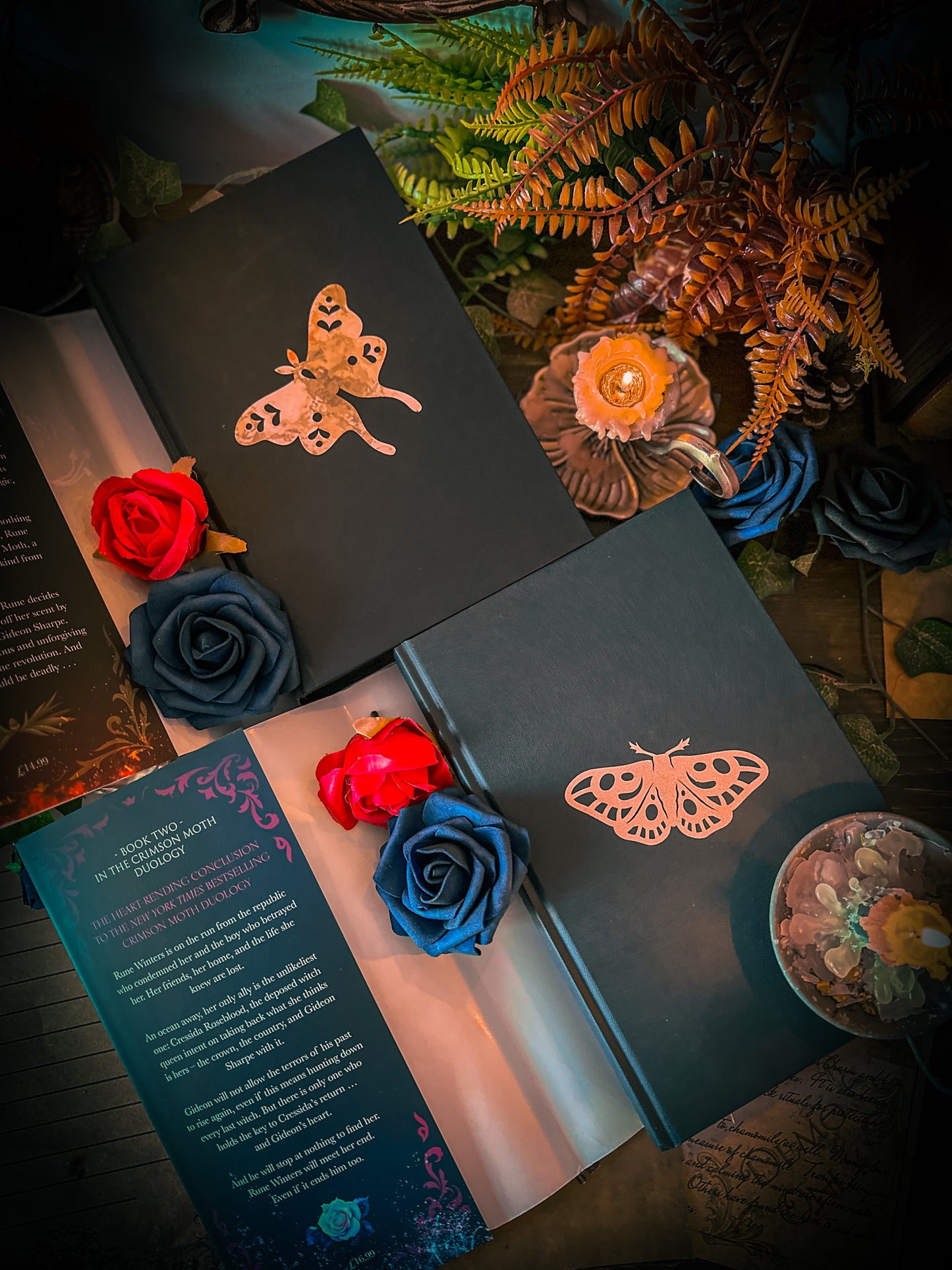 THE REBEL WICTH Hand-Painted Book Edges - Kristen Ciccarelli - Special Edition Book