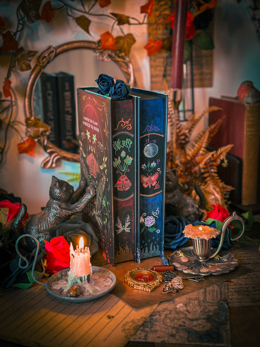 THE REBEL WICTH Hand-Painted Book Edges - Kristen Ciccarelli - Special Edition Book