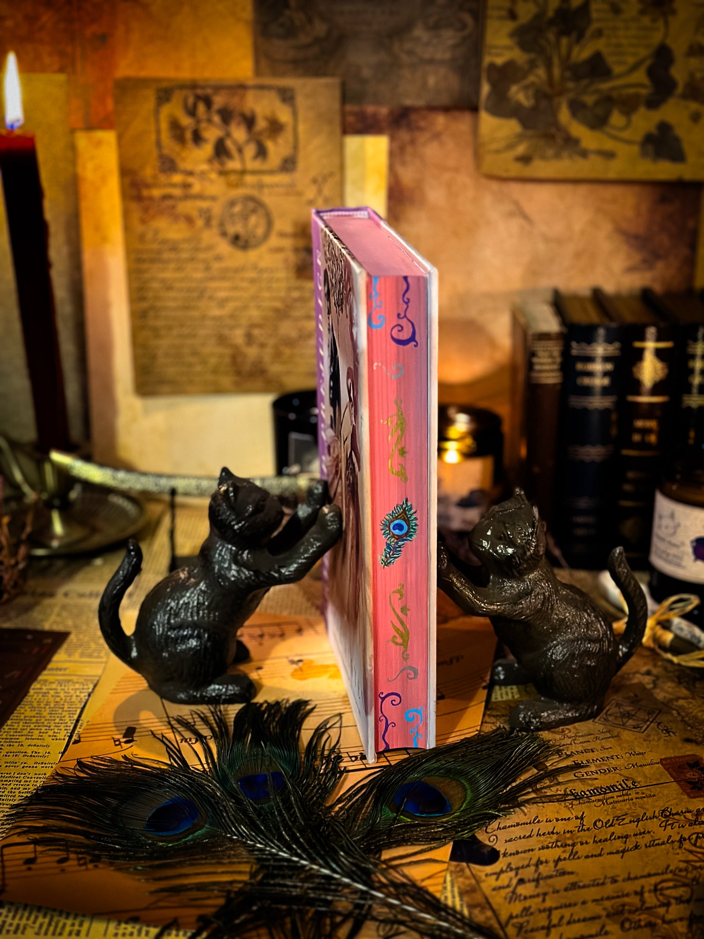 Pride and Prejudice Deluxe Edition (Illustrated) HAND PAINTED EDGES
