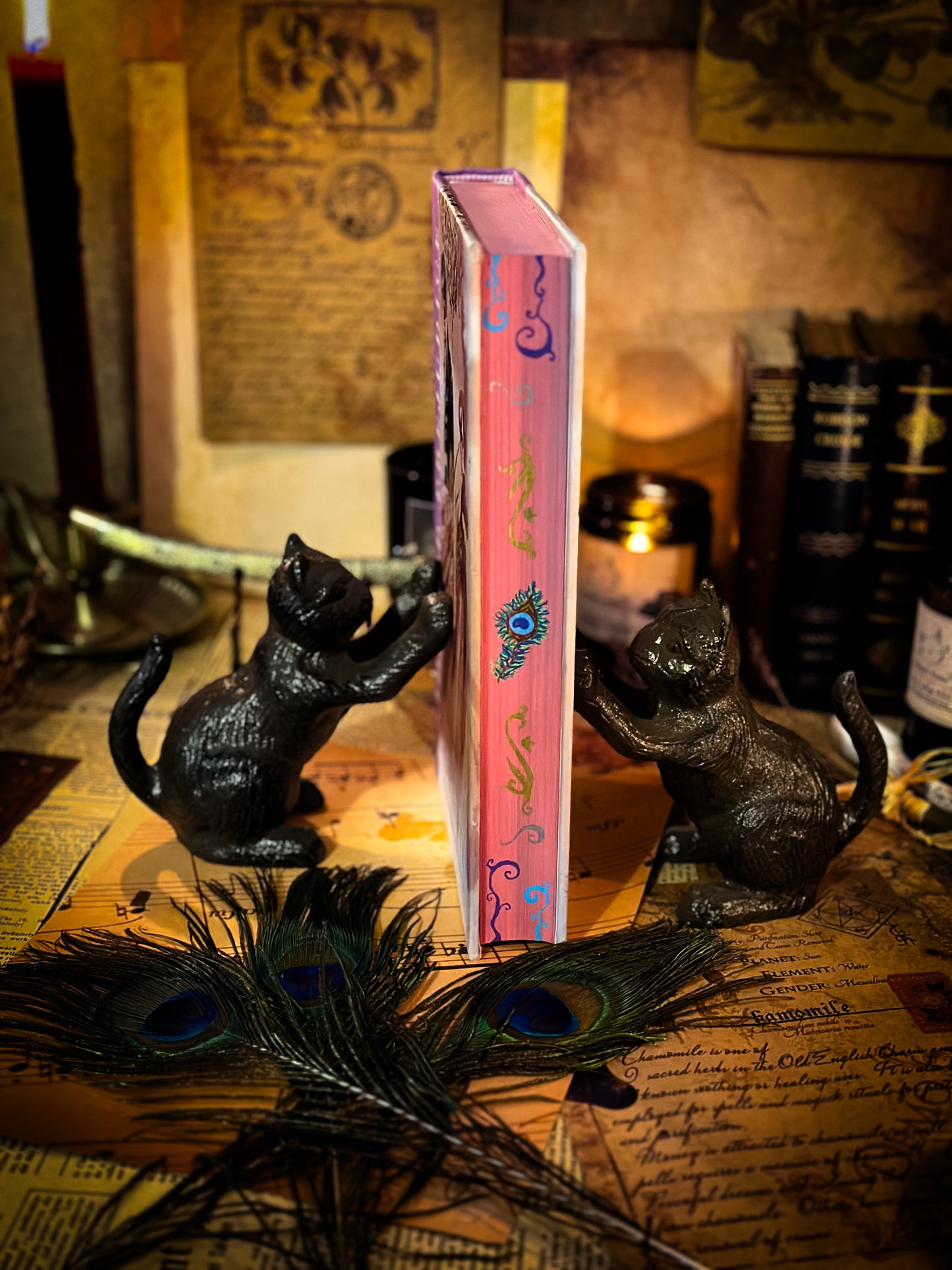 Pride and Prejudice Deluxe Edition (Illustrated) HAND PAINTED EDGES