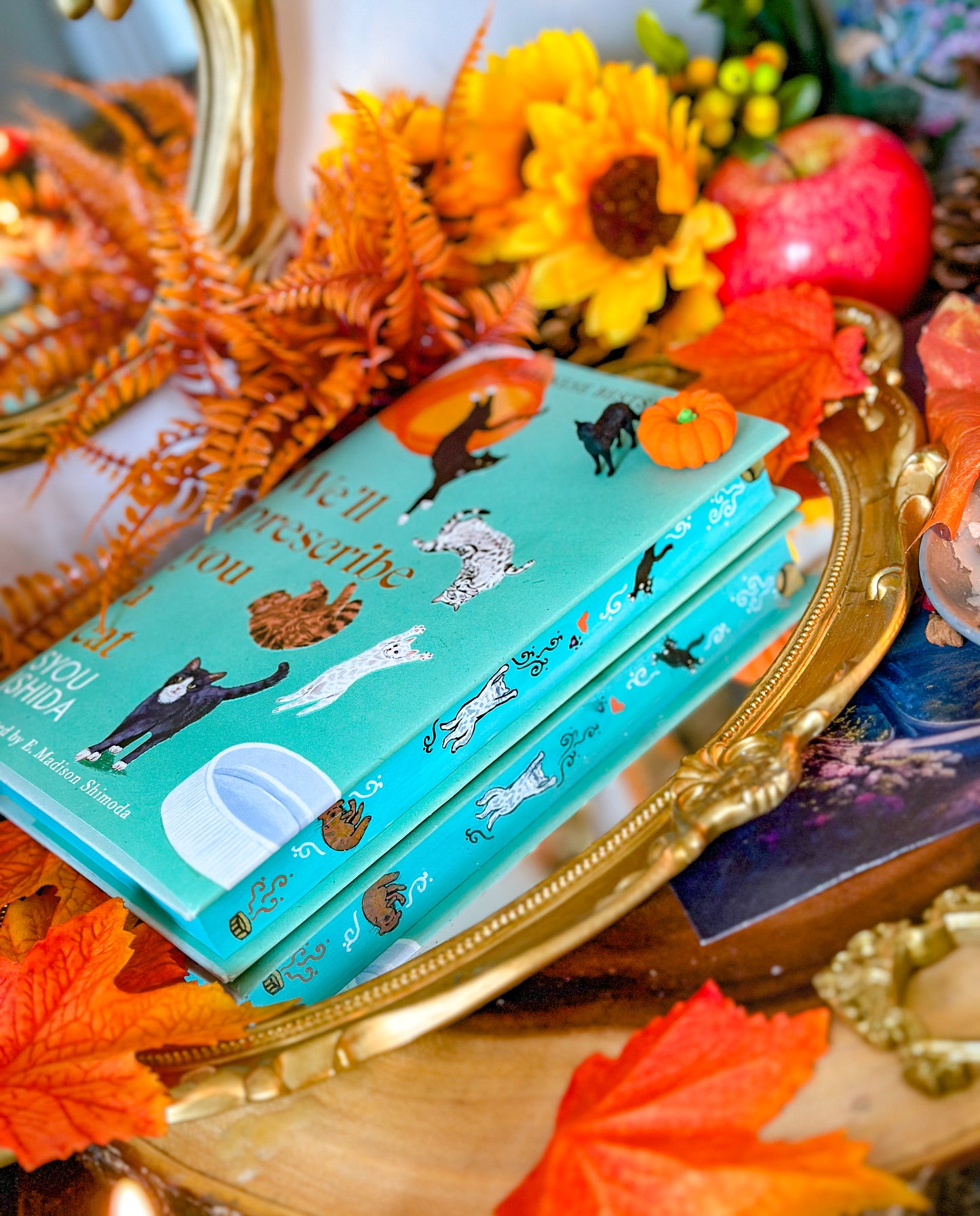 We'll Prescribe You a Cat HAND-PAINTED BOOK Edges - Syou Ishida - Special Edition Book