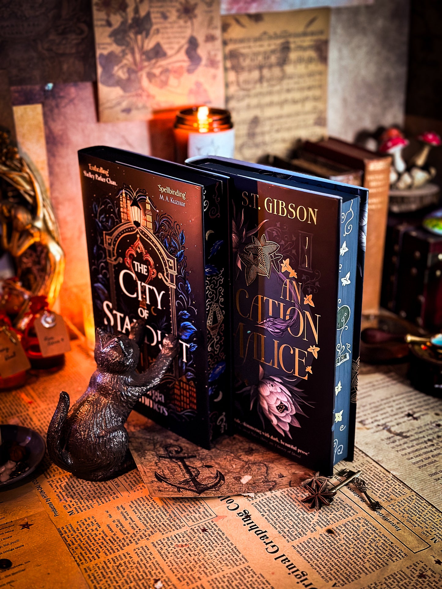 SIGNED: The City of Stardust HANDPAINTED Book EDGES