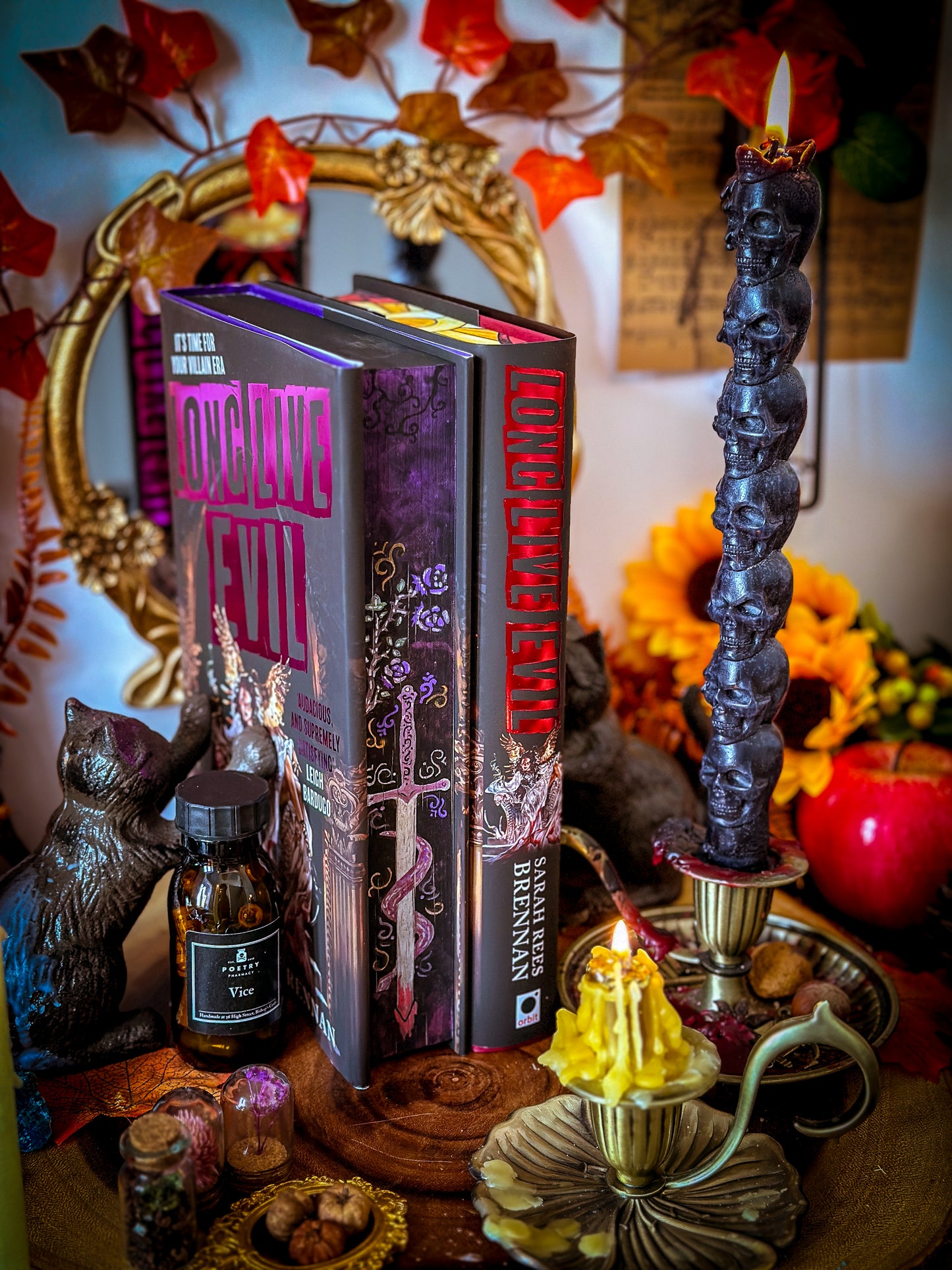 LONG LIVE EVIL hand-painted book edges - Sarah Rees Brennan - Special Edition Book