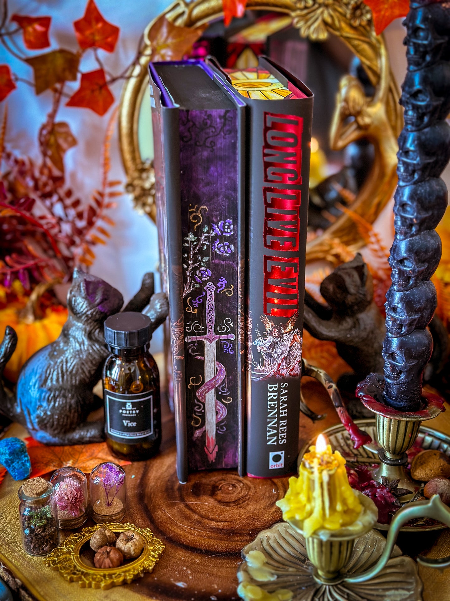 LONG LIVE EVIL hand-painted book edges - Sarah Rees Brennan - Special Edition Book