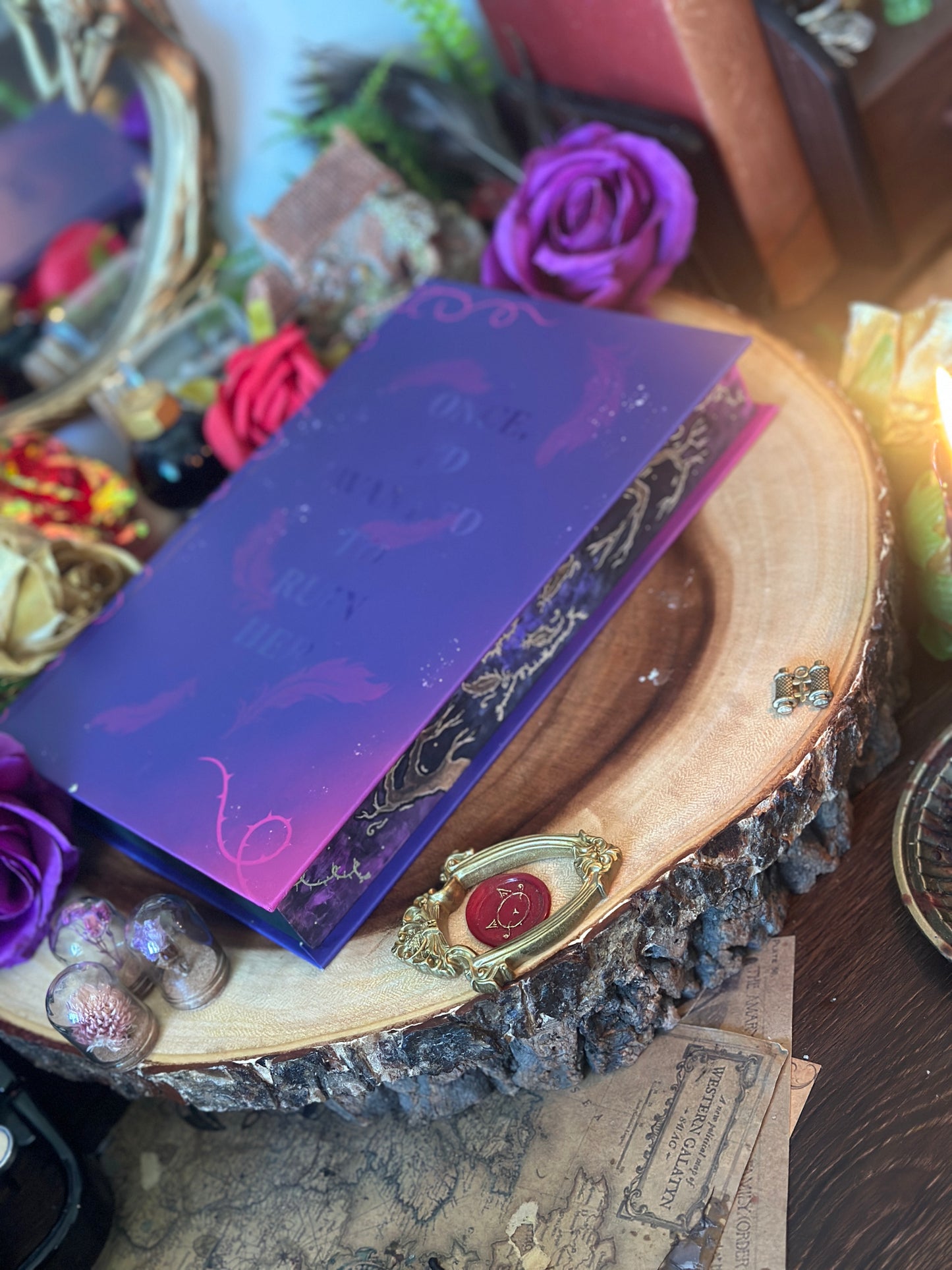 A Treachery of Swans hand-painted book edges - book by A.B. Poranek- SPECIAL EDITION BOOK