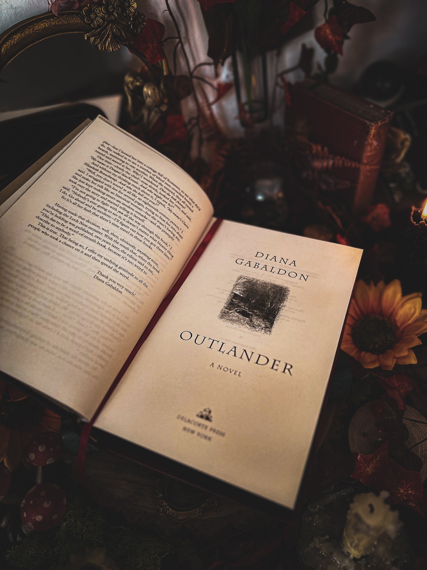 Hand-Painted Outlander Book Edges – 25th Anniversary Hardback Edition