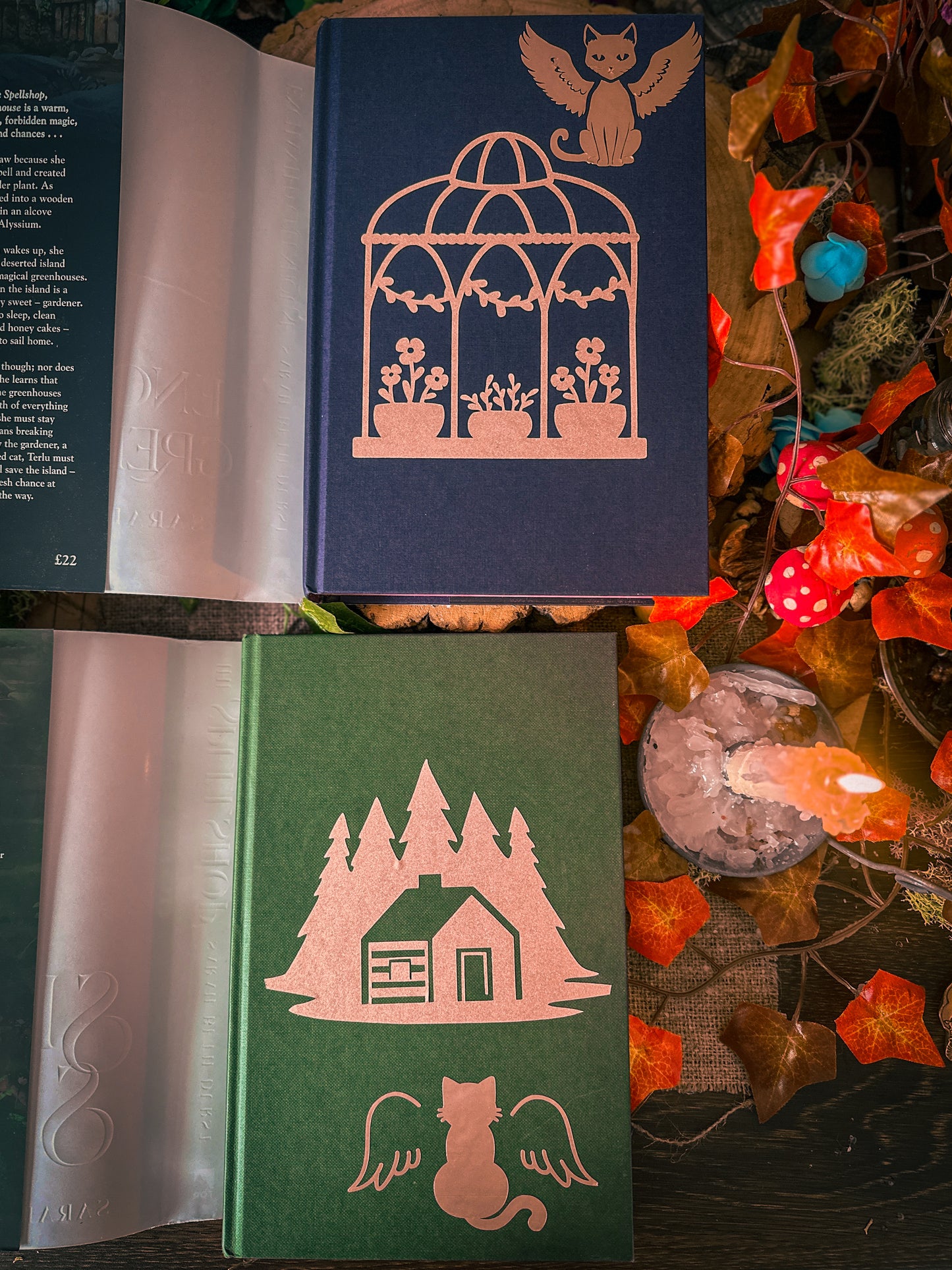 The Enchanted Greenhouse hand-painted book edges - books by Sarah Beth Durst - SPECIAL EDITION BOOK